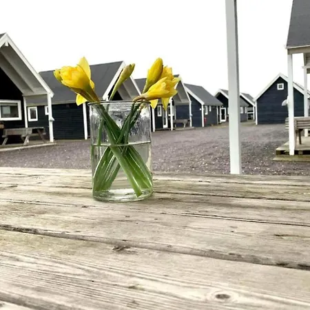 4 Star In * Thyborøn