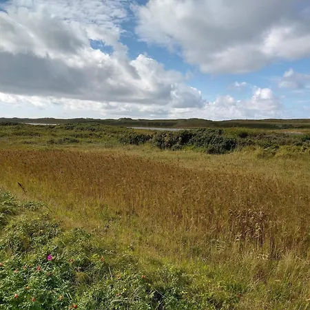 4 Star In * Thyboron