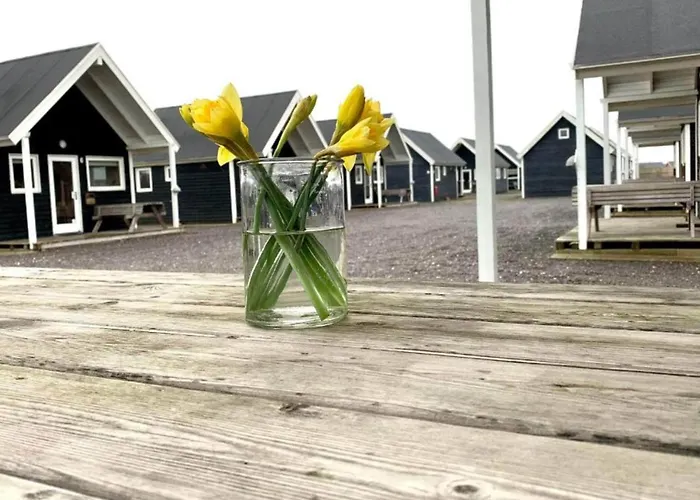 4 Star In * Thyborøn